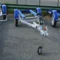 REMORQUE PORTE JETS SUN WAY G600J21